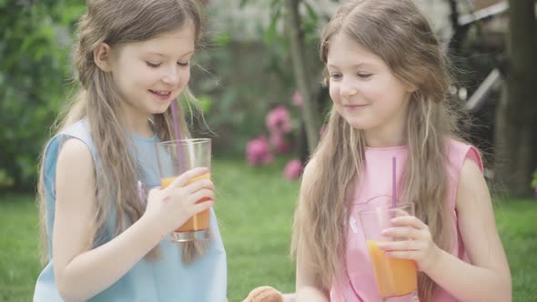 Smiling Brunette Twin Sisters Clinking Glasses and Looking at Camera As Drinking Orange Juice