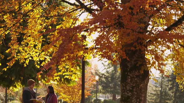 Portrait of college students in the Fall