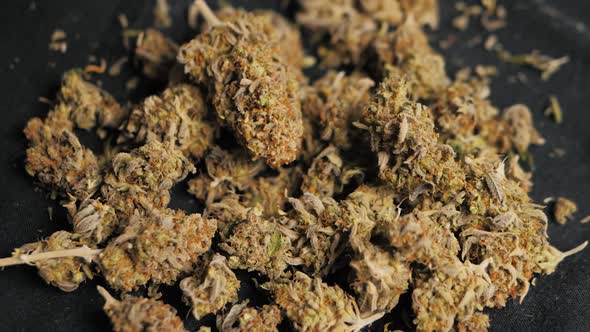 Medical Marijuana Flower Buds Cannabis Background Marijuana Weed Buds Drop Legalization Coffee Shop