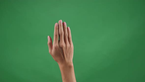 Two Clicks Palm On Green Screen Background