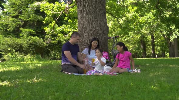 Young Multiracial Family at a Park Picnic Day