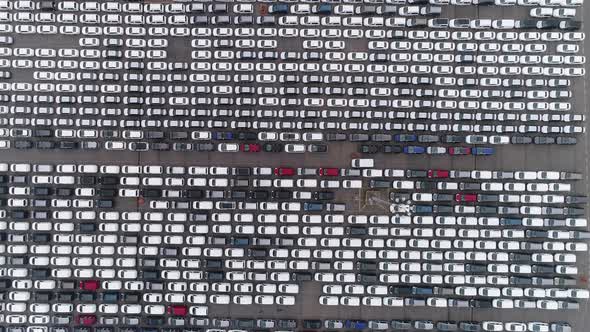 Aerial View of the Parked New Cars at the Automotive Plant.