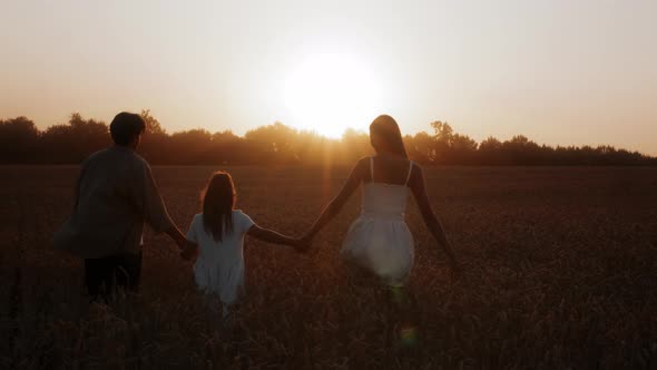 Parents with Little Daughter Holding Hands While Walking Together in Wheat Field