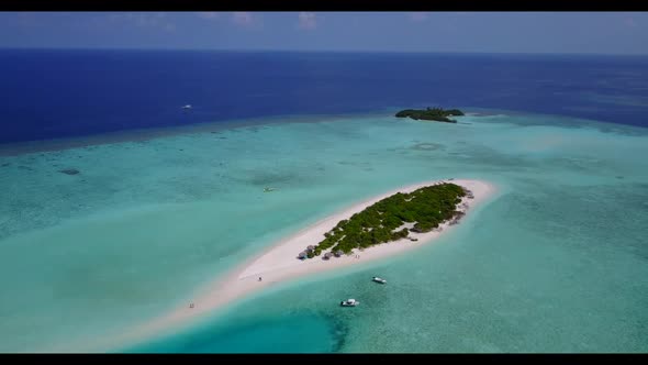 Aerial drone shot landscape of exotic resort beach wildlife by aqua blue ocean and white sand backgr