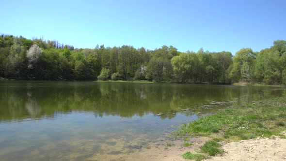 Abandoned Lake Pond in the Forest