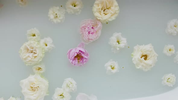 Flowers in a Bathtub