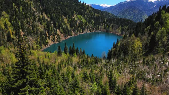 Mountain Lake Malaya Ritsa in the Middle of a Coniferous Forest