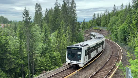 Oslo Norway Metro Subway in the forest 4k