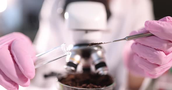 Scientist Chemist Examining Soil Sample in Front of Microscope in Laboratory Closeup  Movie