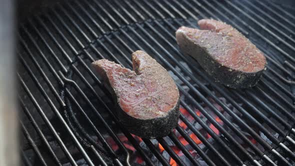 Fresh, wild caught salmon steaks on the backyard barbecue grilling over hot coals - top down sliding