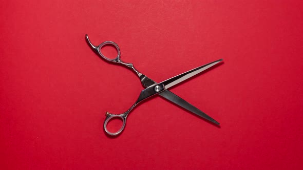 Top view flat lay of professional hair cutting shears on red background. Hairdresser salon equipment