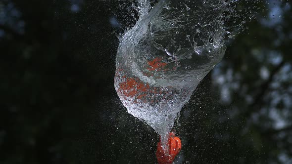 700001 Shot breaking water filled orange balloon, slow motion