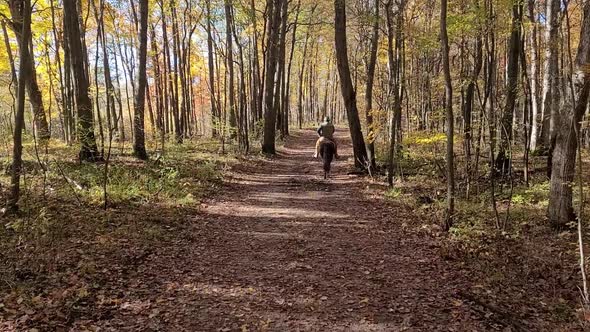 Horse riding through the autumn forest of Wayne County Park in Michigan