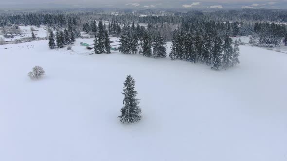 Ariel footage of snow covered landscapes.