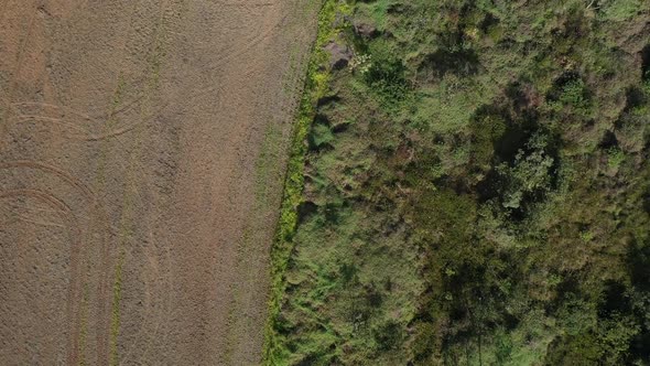 Plowed farmland next to the Brazilian savannah where deforestation is destroying the rainforest - st