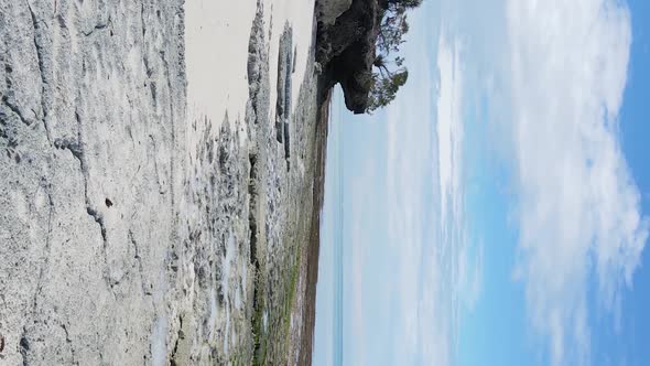 Vertical Video Empty Beach on Zanzibar Island Tanzania Aerial View