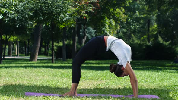 Women Practicing Yoga in the Park Background