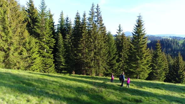 Aerial Shot, Family Walking Along, Spring Day in Forest