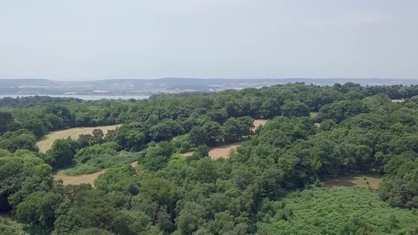 Aerial fly over of Devon woodlands along the UK Jurassic Coast, STATIC CROP