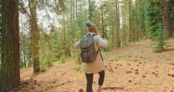 Slow Motion: Young Woman Hiking in Green Forest in Sunny Autumn Day, Pine Woods