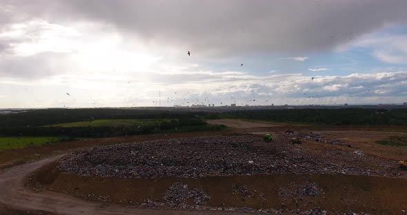 Large Garbage Mountain a City Dump