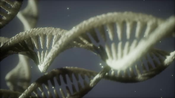 Double Helical Structure of Dna Strand Close-up Animation alt