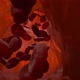 Red Blood Cells in the Vein - VideoHive Item for Sale