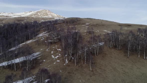 Moving Forward Over Bare Fall Woods Forest and Snowy Mountain in Autumn or Winter Day