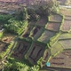 Aerial view of morning in rice field Bali in traditional village - VideoHive Item for Sale