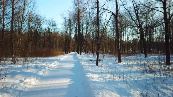 Frost And Sun In Mazurino Park 15