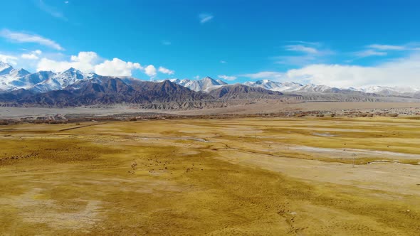 Aerial photo of blue sky and golden grassland on Pamir Plateau