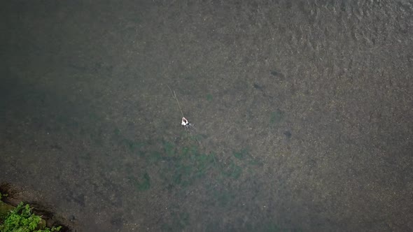 Lowering Bird's Eye Drone Shot above a man Fly Fishing in the Provo River in the Mountains of Utah.