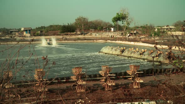 Shrimp Farming in Indonesia