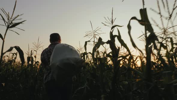 Woman with Full Bag of Corn in the Field