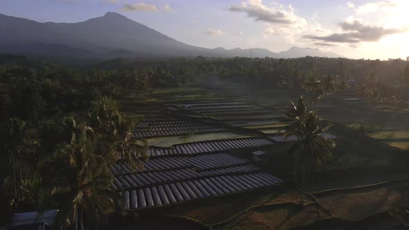 Aerial view of farm fields and Mount Rinjani Volcano during sunrise on West Nusa Tenggara,Lombok.