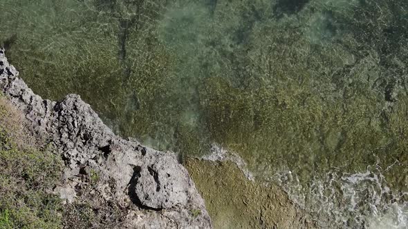 Zanzibar Tanzania  Vertical Video of the Ocean Near the Coast Slow Motion