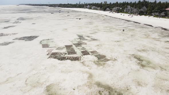 Shore of Zanzibar Island Tanzania at Low Tide