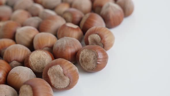 Pile of hazelnuts on white background slow pan 4K 2160p 30fps UltraHD footage - Brown nuts of Corylu