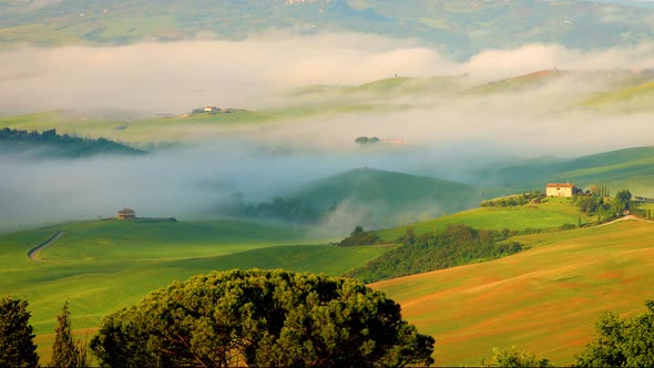 Tuscany Italy Foggy Landscape At Dawn