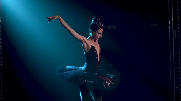 Graceful Ballerina in a Chic Image of a Black Swan. Young Beautiful Girl in a Black Tutu with