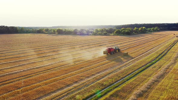 Agricultural tractor collecting hay into square bales on the field