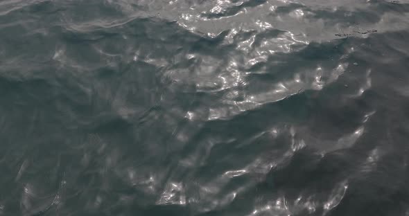Close up View of Pure Blue Water in the Lake. Water with Light Reflections. Moving Surface.