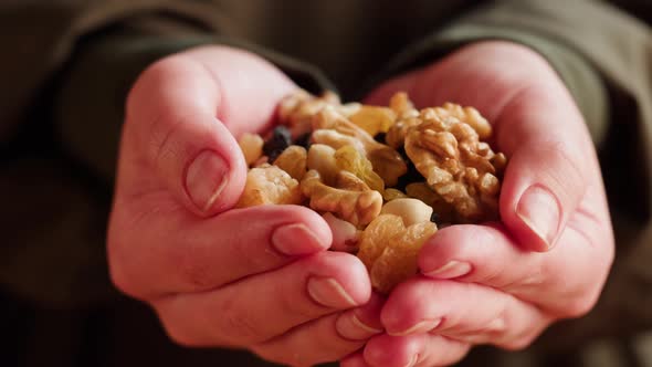 Nuts and Dried Fruits Mix Closeup