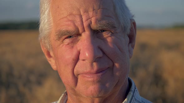 Portrait Close Up Of Elderly Caucasian Man Working In Field Of Wheat At Sunset