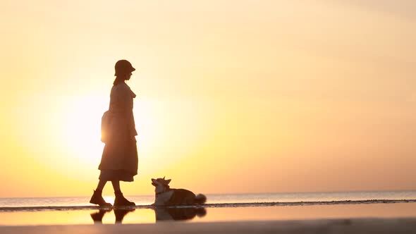 Woman and Pet Having Fun on Beach During Evening Sunset and Enjoying Lifestyle Spbi