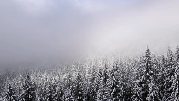 Flying over snow covered forest in Oregon