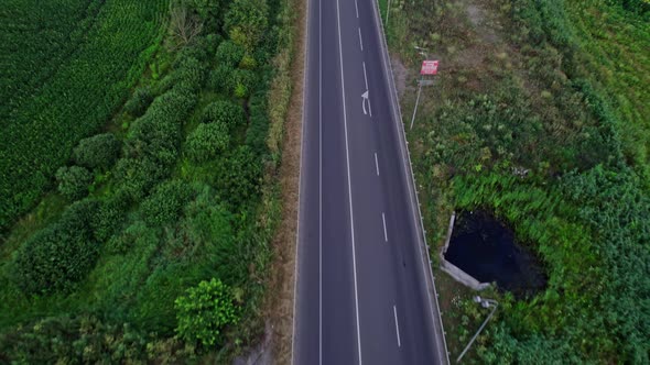 Car Driving Down an Asphalt Road Crossing the Vast Forest