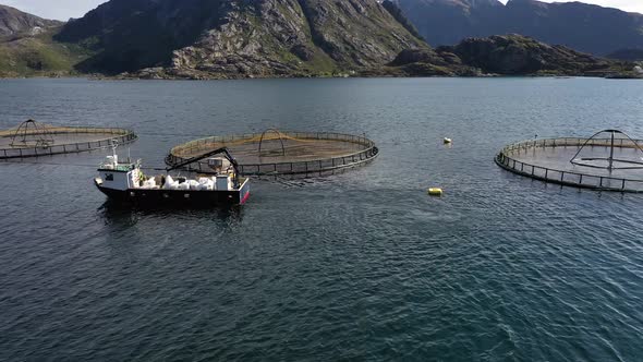 Farm Salmon Fishing in Norway