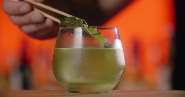 Barman Adds Fresh Shiso Leaf to the Cocktail Glass Making of the Cocktail with Asian Perilla Herb