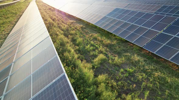 Aerial View of Solar Farm on the Green Field at Sunset Time Solar Panels in Row